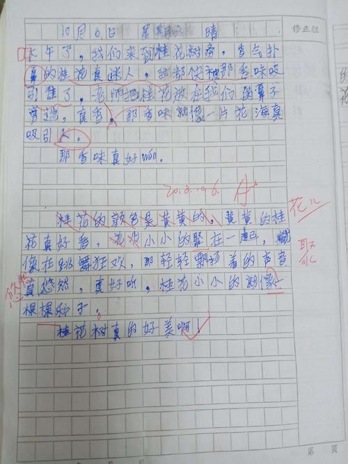 一书信：那个年的花，你那一年_800字