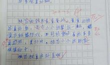 初一书信作文：那一年的花开，那一年的你们_800字