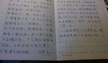 童年趣事100字作文：给小猫扎小辫子_450字