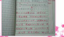 初一书信作文：我想和您同行_800字