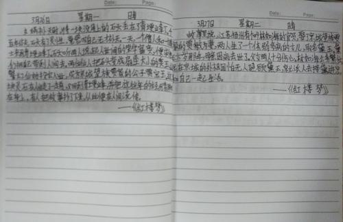 阅读“红色豪宅的梦想”（2）_700字