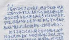 童年趣事200字作文：学骑自行车_600字