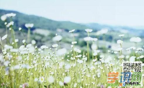 春天早晨_350字