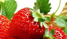 关于水果的作文：我喜欢的水果——草莓_1500字