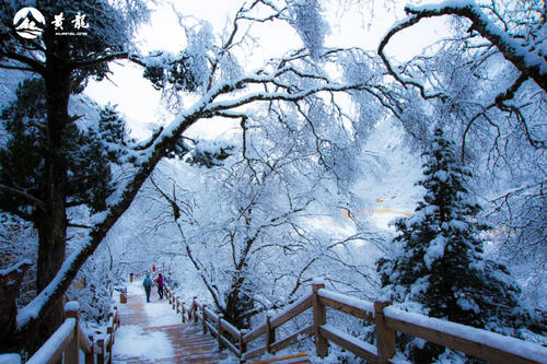 冬日雪_500字