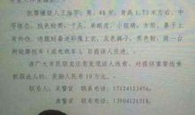 入团申请书十_500字