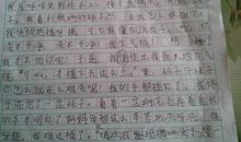 关于水果的作文：难忘的樱桃_1200字