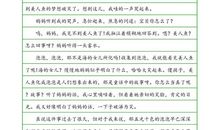 童年趣事200字作文：童年的朋友与趣事_300字