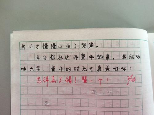 童年有趣的事情300字组成：农村旅行_350字