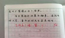 童年趣事300字作文：乡村之行_350字