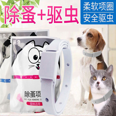 小宠物_150字