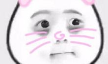 童年趣事——给猫刮胡子_450字