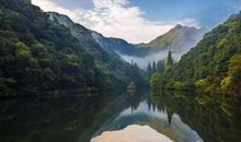 悠悠山谷情_1200字