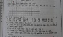 2020年四川自贡中考语文作文题目：二选一