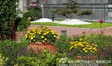 美丽的屋顶花园_300字