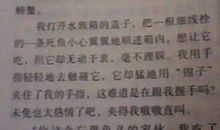 童年趣事300字作文：令人难忘的童年故事_400字