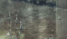 关于雨的作文：雷雨_600字