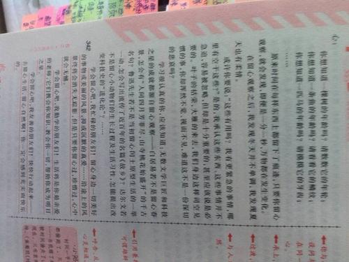 难忘的眼睛_600字