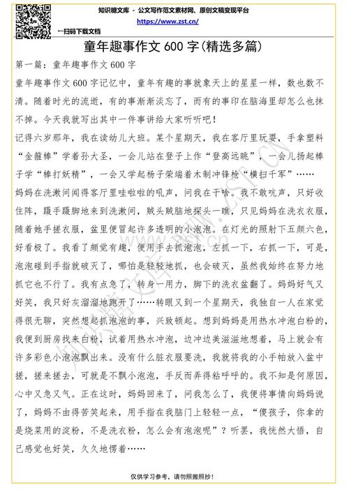 童年有趣的作文600字 - 记住烧烤_900字