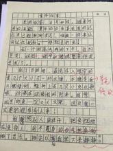 童年有趣的事情600字组成 - 幼稚冲姐妹_1200字