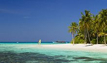 大自然的身影_450字