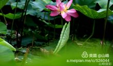 聆听雨滴的声音_3000字