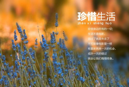 今天珍惜掌握_1000字
