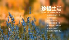 珍惜拥有 把握今天_1000字