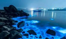 [超新星中学组]湖蓝色的眼泪不悲伤_1200字