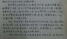 给老师的一封信_800字