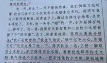 一年级想象作文：冬天来了_500字