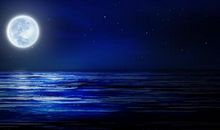 月光在窗外_1200字