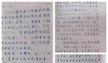 关于压岁钱的作文：特别的“压岁钱”_500字