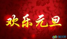 关于元旦的作文：多彩的元旦节_300字