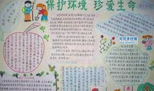 六年级叙事作文：保护环境，从我做起_800字