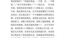 幸福的瞬间_800字