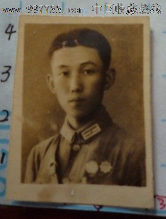 旧照片_450字