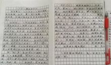 2019年小升初写景作文指导：动植物和物品记叙文