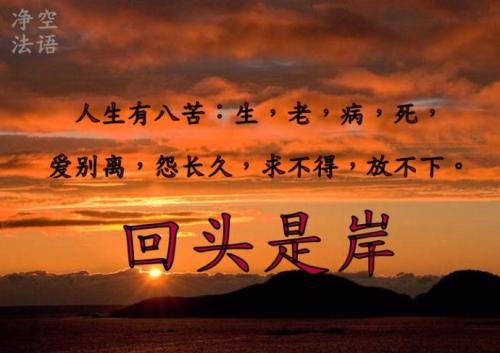 我的宽容_800字