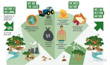 人口增长对野生动物的影响