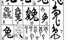 以己之宽容彼之短_350字