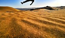 沙漠中的天使_300字