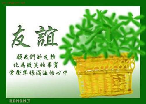 我不能忘记你的宽容_900字