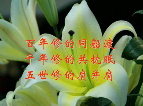 亲爱的同志，你好吗？ _1200字