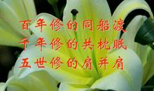 亲爱的战友，你好吗？_1200字