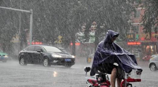 在风雨中的行人_550字