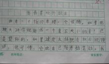 我最喜欢的一种玩具_450字