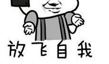 请让我来当你的眼_900字