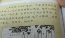六年级叙事作文：收菜_800字
