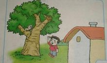 看图作文《救小树》_250字